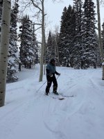 IMG_3198.jpeg IMG_3198.jpeg