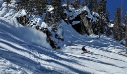 boarder air rg 14 mar rock garden brighton 2022.jpg