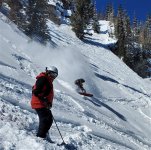 al boarder air 14 mar 2022 rock garden.jpg