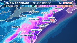 1771731990801.png 1771731990801.png