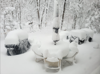 Screenshot 2026-02-23 133436.png