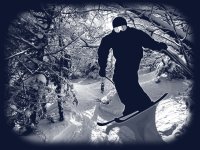 Ullrs Dream Glade Skier Navy.jpeg