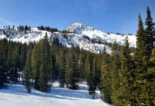 avi tragedy terrain brighton 27 feb 2026.jpg avi tragedy terrain brighton 27 feb 2026.jpg