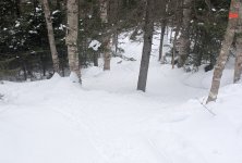 1000006344.jpg 1000006344.jpg