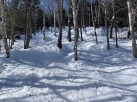 IMG_7553.jpeg IMG_7553.jpeg