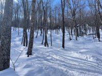 IMG_7554.jpeg IMG_7554.jpeg