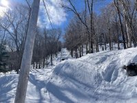 IMG_7550.jpeg IMG_7550.jpeg