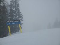 chips fog 3 mar 2026.jpg