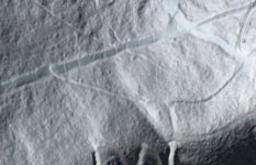 Screenshot 2026-03-04 142438.jpg