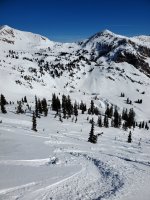 4 mar 2026 bookends pow.jpg