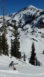 bookends pow buddy 4 mar 2026.jpg