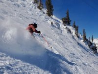 al skiing silver fox 4 mar 2026.jpg