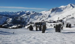 timp view snowbird 9 mar 2026.jpg