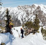 rats nest 13 mar 2026.jpg