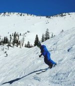 tony face rasta 9 mar 2026.jpg tony face rasta 9 mar 2026.jpg