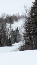 1000006371.jpg 1000006371.jpg