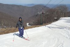 wintergreen highlands chair.jpg