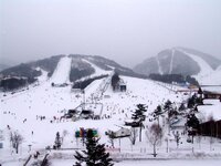 exotic-place-yongpyong-resort1.jpg