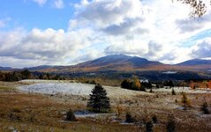 Frosted Burke Mtn Oct 18, 2015.jpg