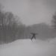 BrooklynSkier