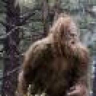 Sasquatch