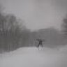 BrooklynSkier