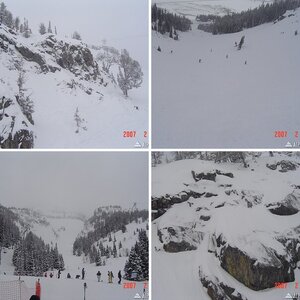 Jackson Hole Feb 2007