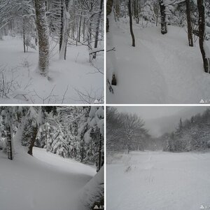 killington pow day 12407