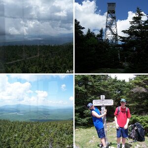 Tree-Skiers hiking