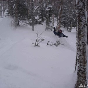 riding the pow