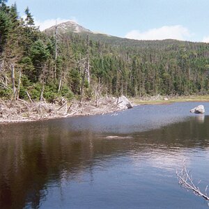 Some Random Pictures from TN ^ the Adirondacks