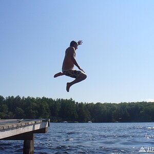 One of several quality leaps off the dock.