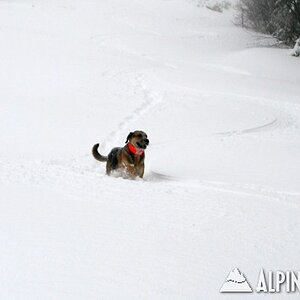 Thursday at Stowe