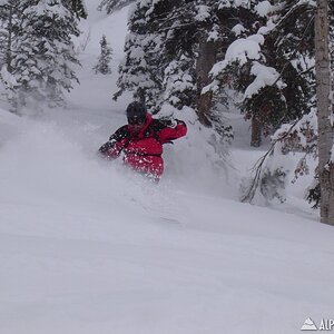 DMC Powder Mountain