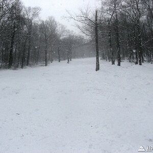 View up Lower Moonshine