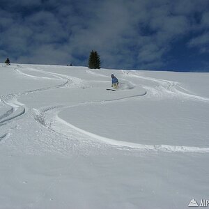 El Diablo Catski, San Juans, CO