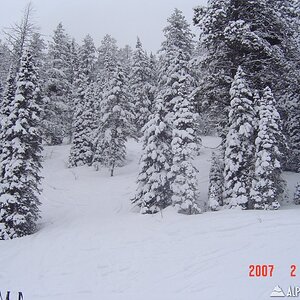 Targhee Feb 2007