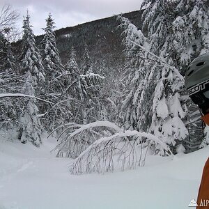 Descending North Branch Ammonoosuc Ravine