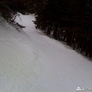 Gulf of Slides - 3/12/10