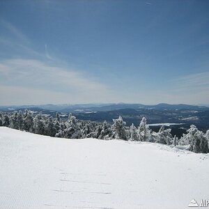 Saddleback View