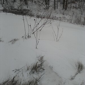 Water Tower Headwall from above