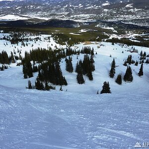 looking down contest bowl