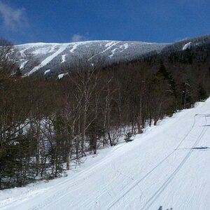 Bluebird from the Double at Saddleback.