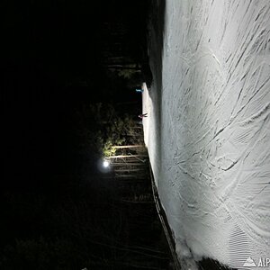 IMG_02781