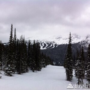 Whistler1