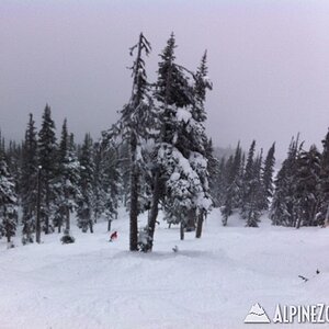 Whistler6
