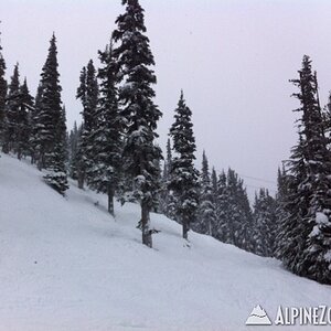 Whistler7