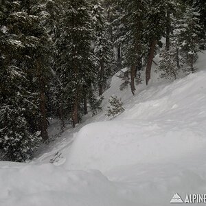 100_0306_800x600_