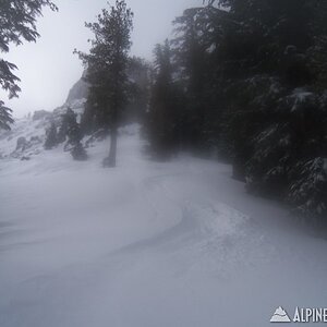 100_0318_800x600_