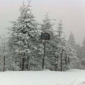 brucepow1